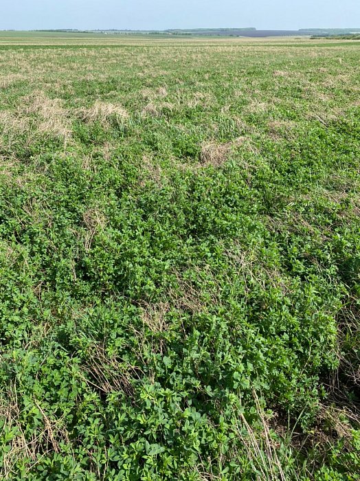 Поле 329. Фото 28$Состояние полей. Поле 329. Фото 28