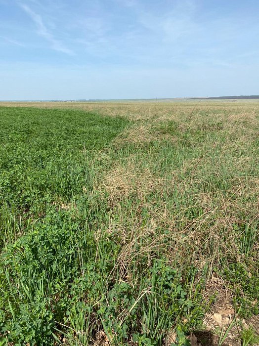 Поле 328. Фото 24$Состояние полей. Поле 328. Фото 24