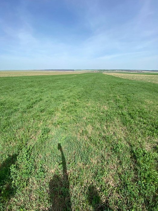 Поле 328. Фото 27$Состояние полей. Поле 328. Фото 27