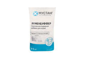 РуменБуффер