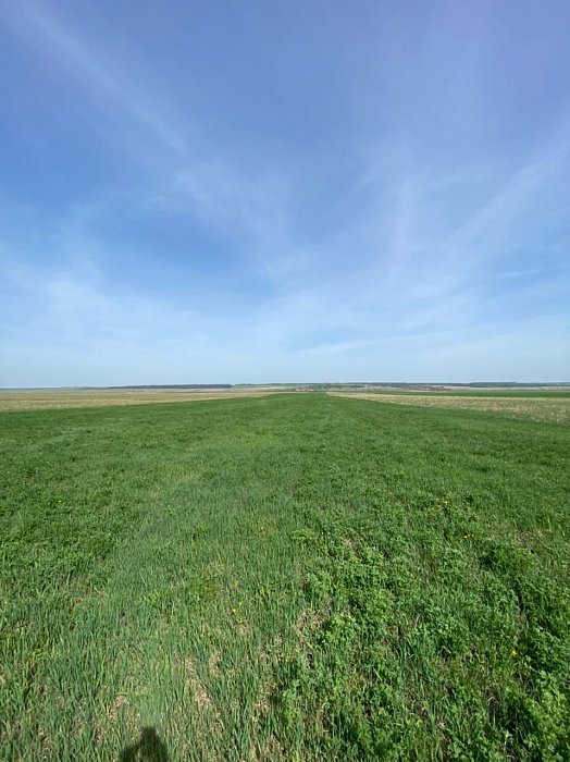 Поле 328. Фото 25$Состояние полей. Поле 328. Фото 25