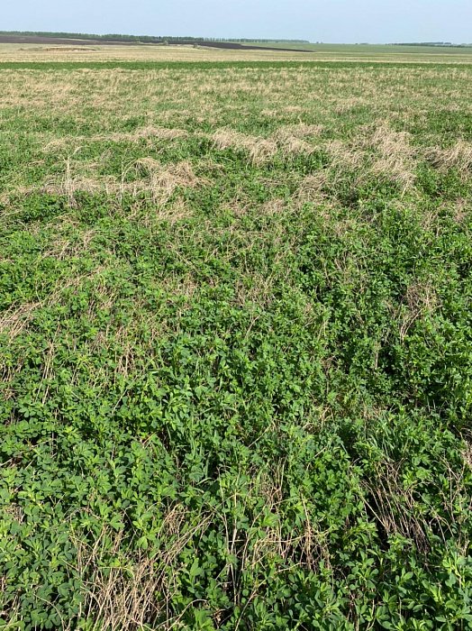 Поле 329. Фото 31$Состояние полей. Поле 329. Фото 31