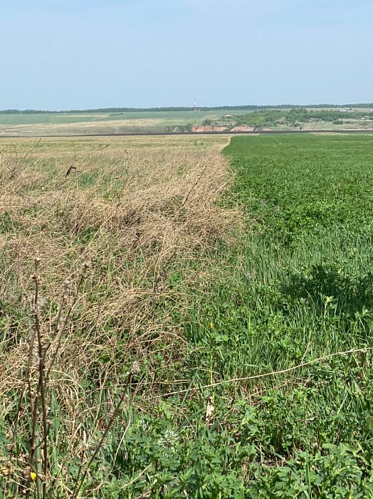 Поле 328. Фото 26$Состояние полей. Поле 328. Фото 26