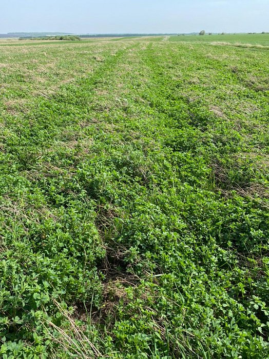 Поле 329. Фото 29$Состояние полей. Поле 329. Фото 29